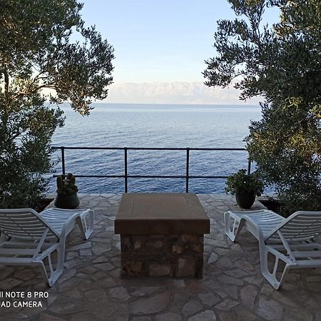 House Jurasovic Villa Gdinj Екстериор снимка